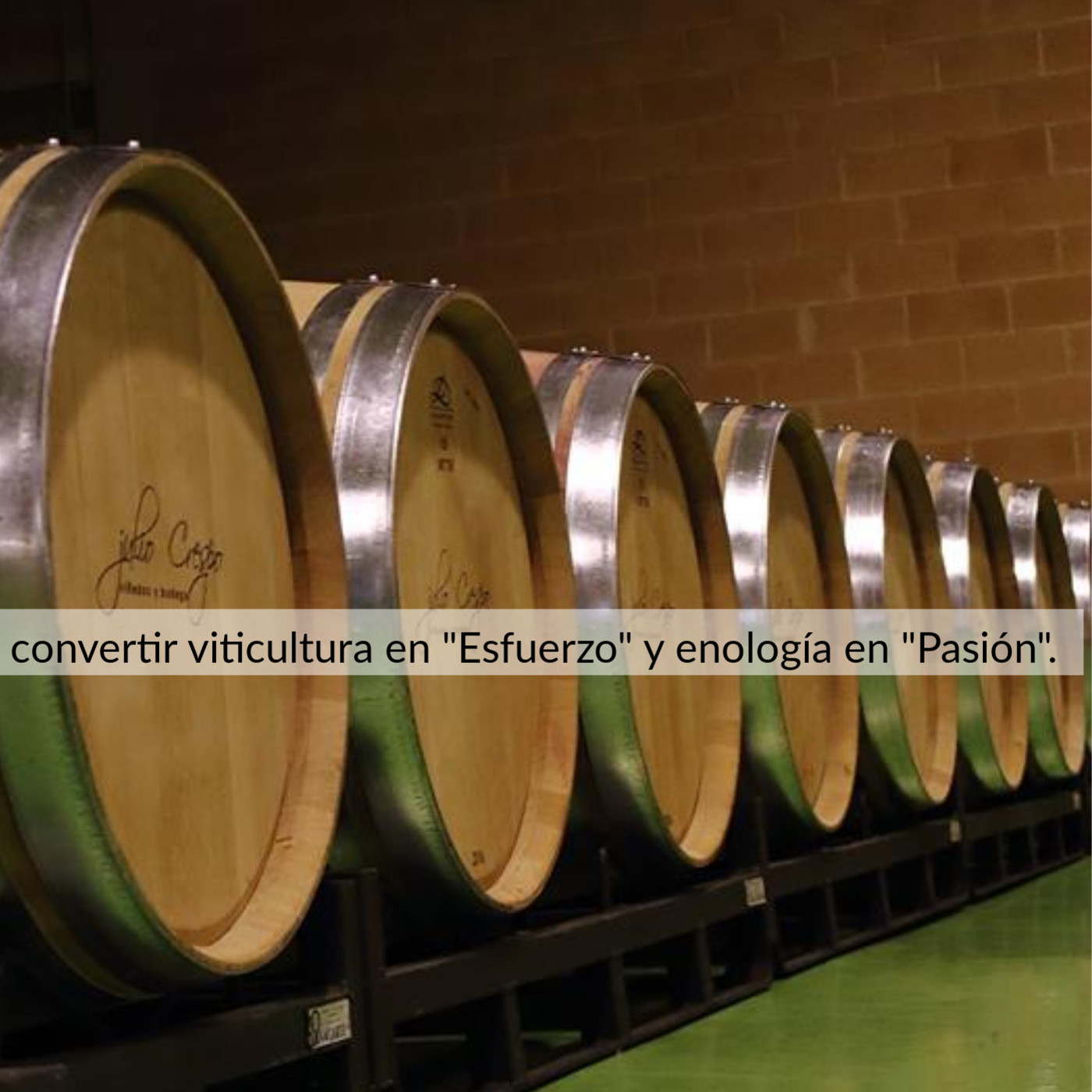 BodegasJulioCrespo