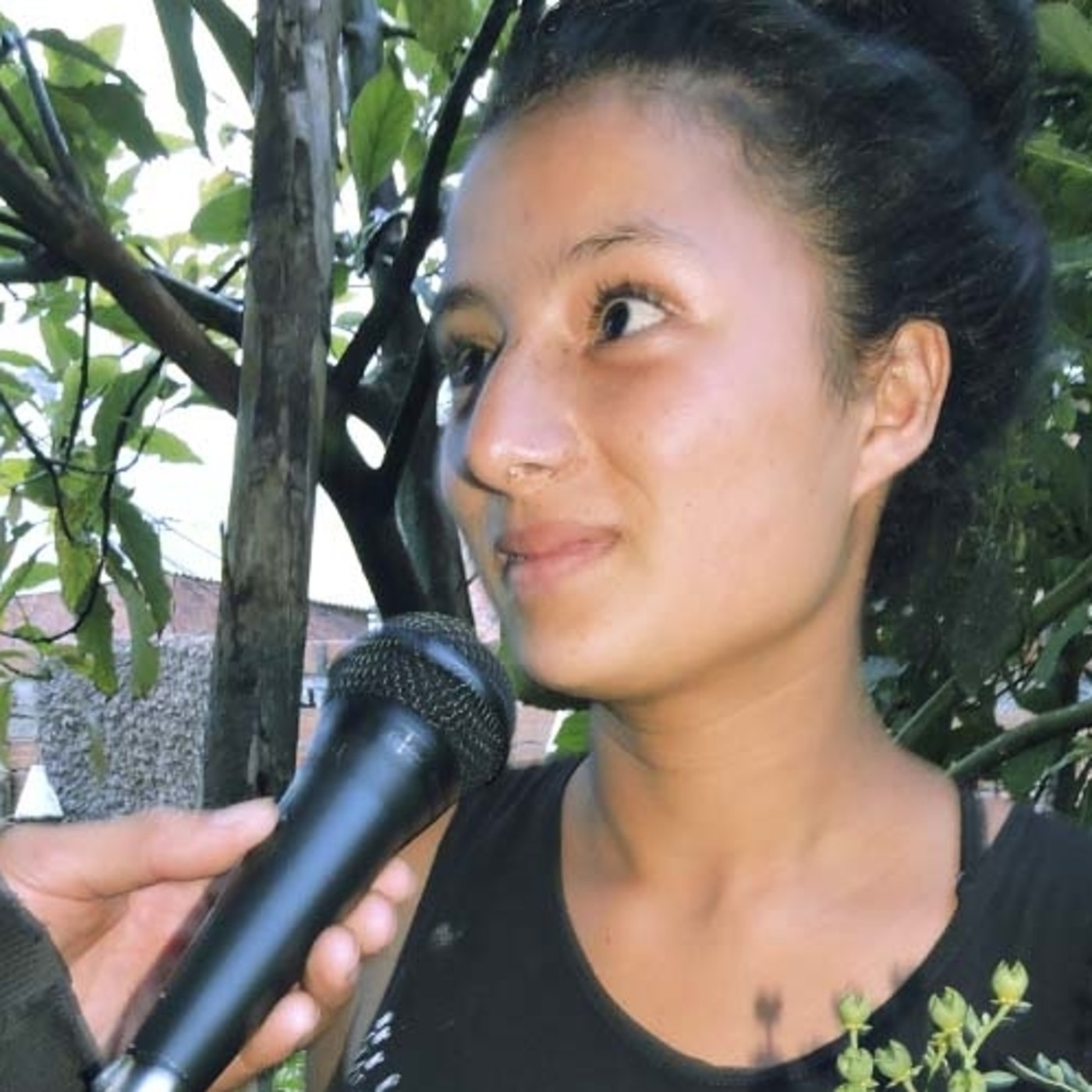 Plantas para Sanar - Zonas Horarias