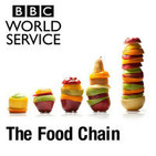 The Food Chain