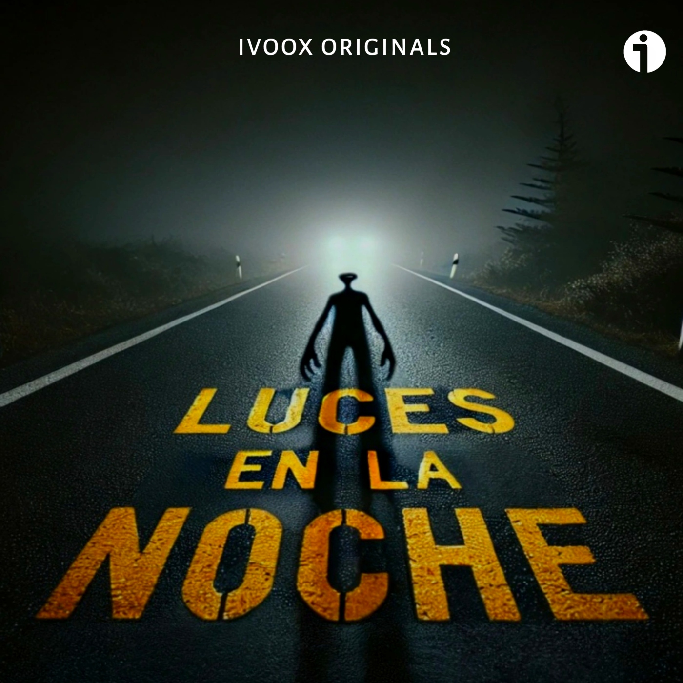 Luces En La Noche