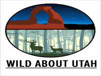 State Symbols on Wild About Utah