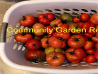 Canning and Preserving time! and, Community Garden Magazine