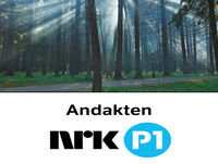 Skatten i åkeren