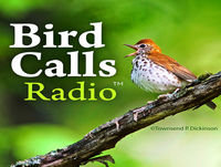BCR 143: American Birding Expo 2018