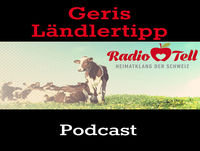 Ländler im Wurlitzer Sound
