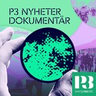 P3 Nyheter Dokumentär - Insats torsk och sexköpsrazziorna 2020-07-01 kl. 06.00