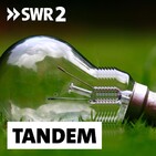 Geigen, Celli, Wellblechhütten: Klassische Musik aus dem Slum