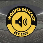 Wolves NFL Draft: 2010's