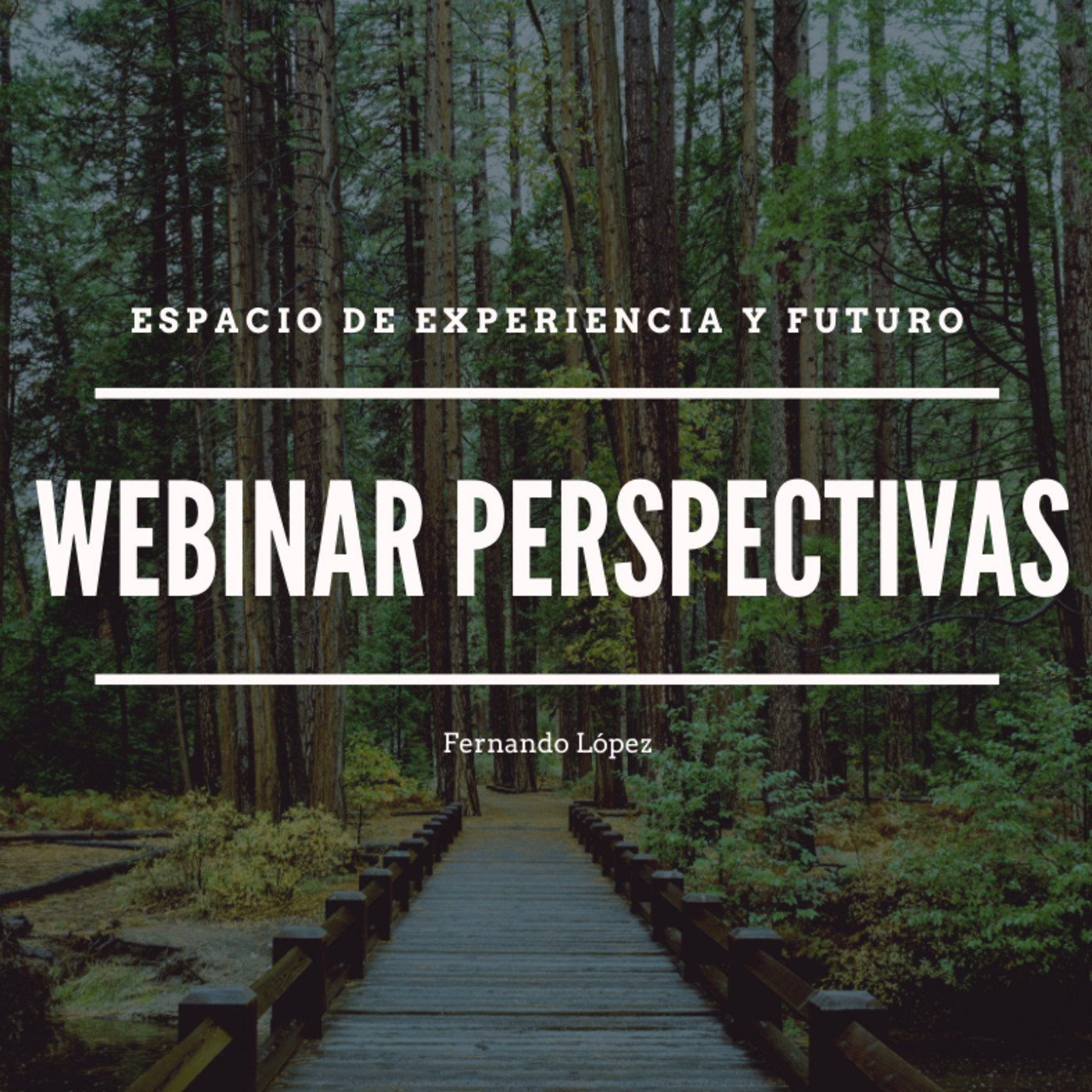 Webinar Perspectivas 