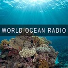 Rescue for the Global Ocean, Part 4