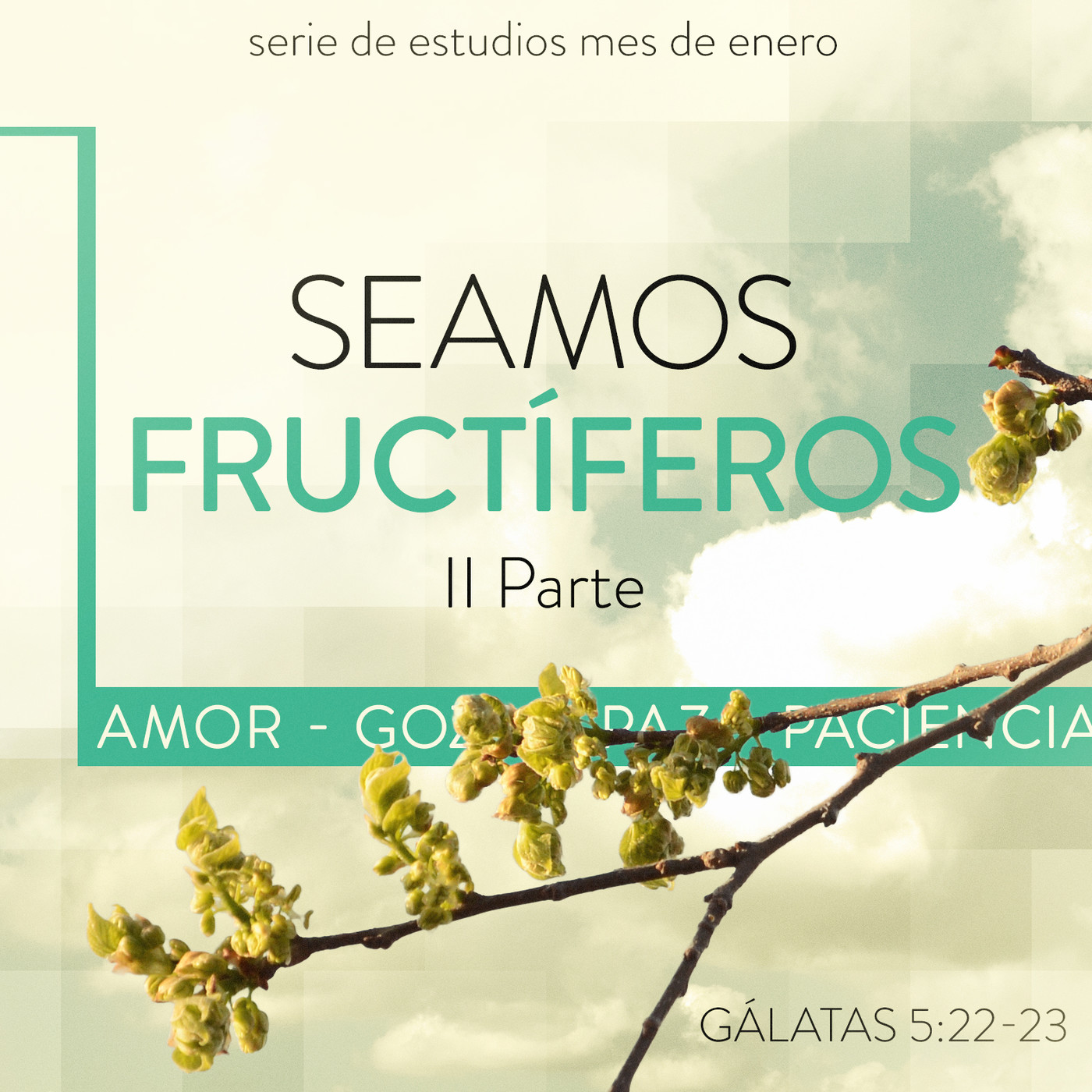 202001 Seamos Fructíferos II Parte