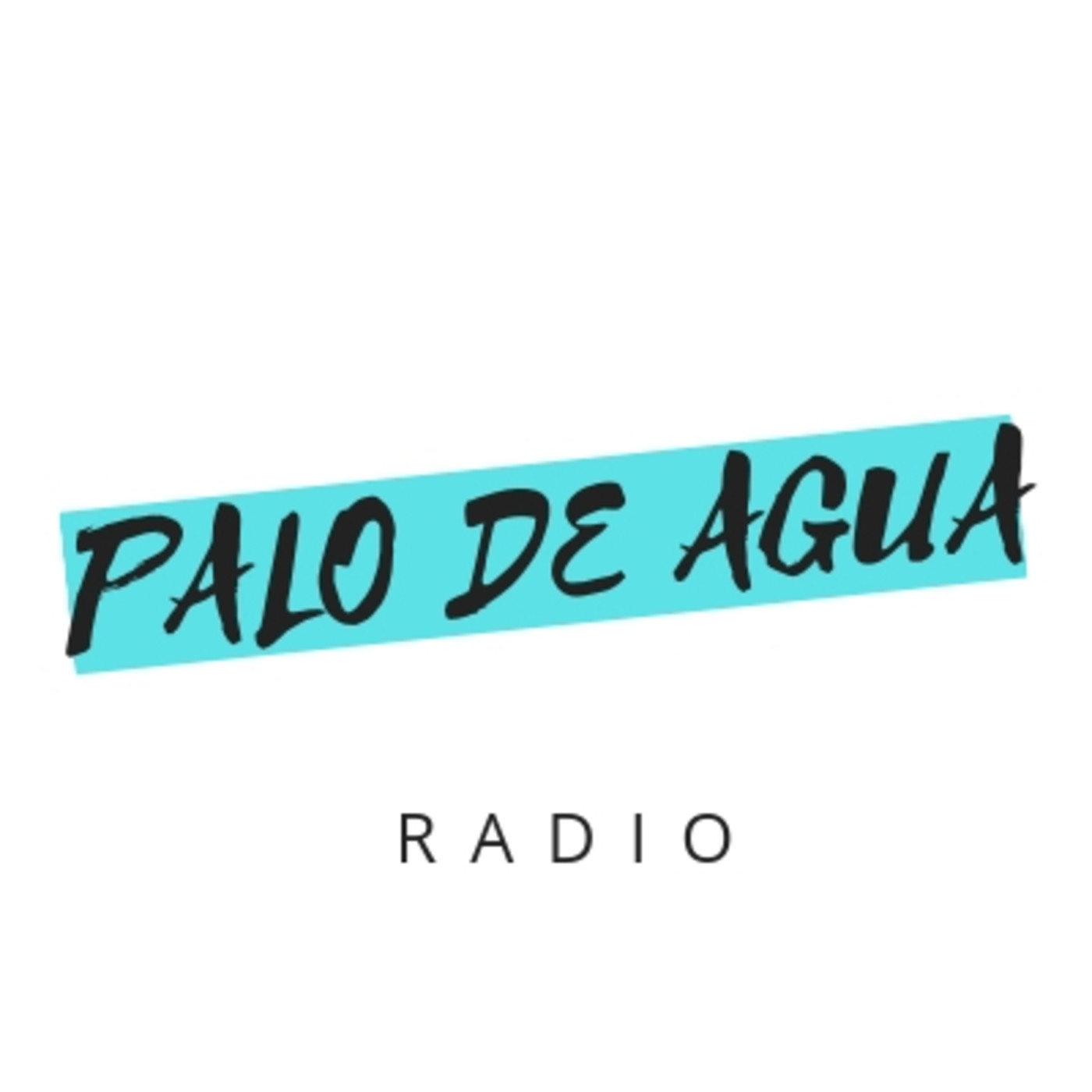 Palo de Agua Radio