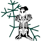 embed image