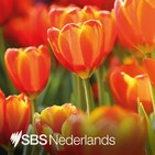 Coronavirus voorlopig nog niet weg.