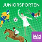 Voltige – gymnastik på hästens rygg