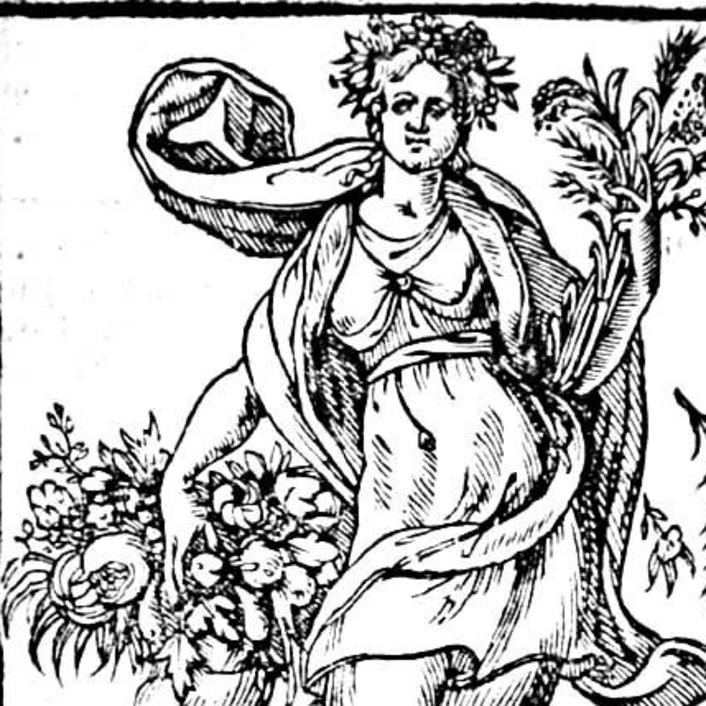 Ordenando a la Cocina Cósmica