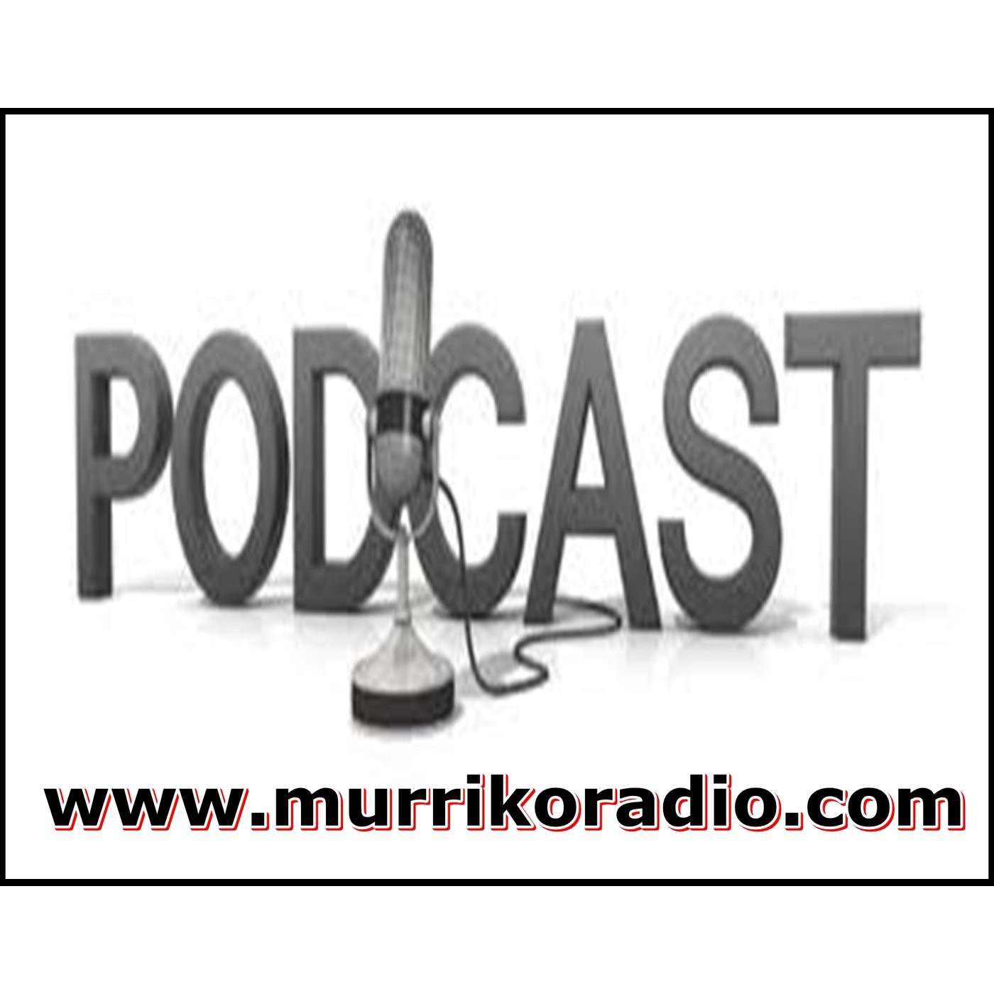 Podcasts 13/14