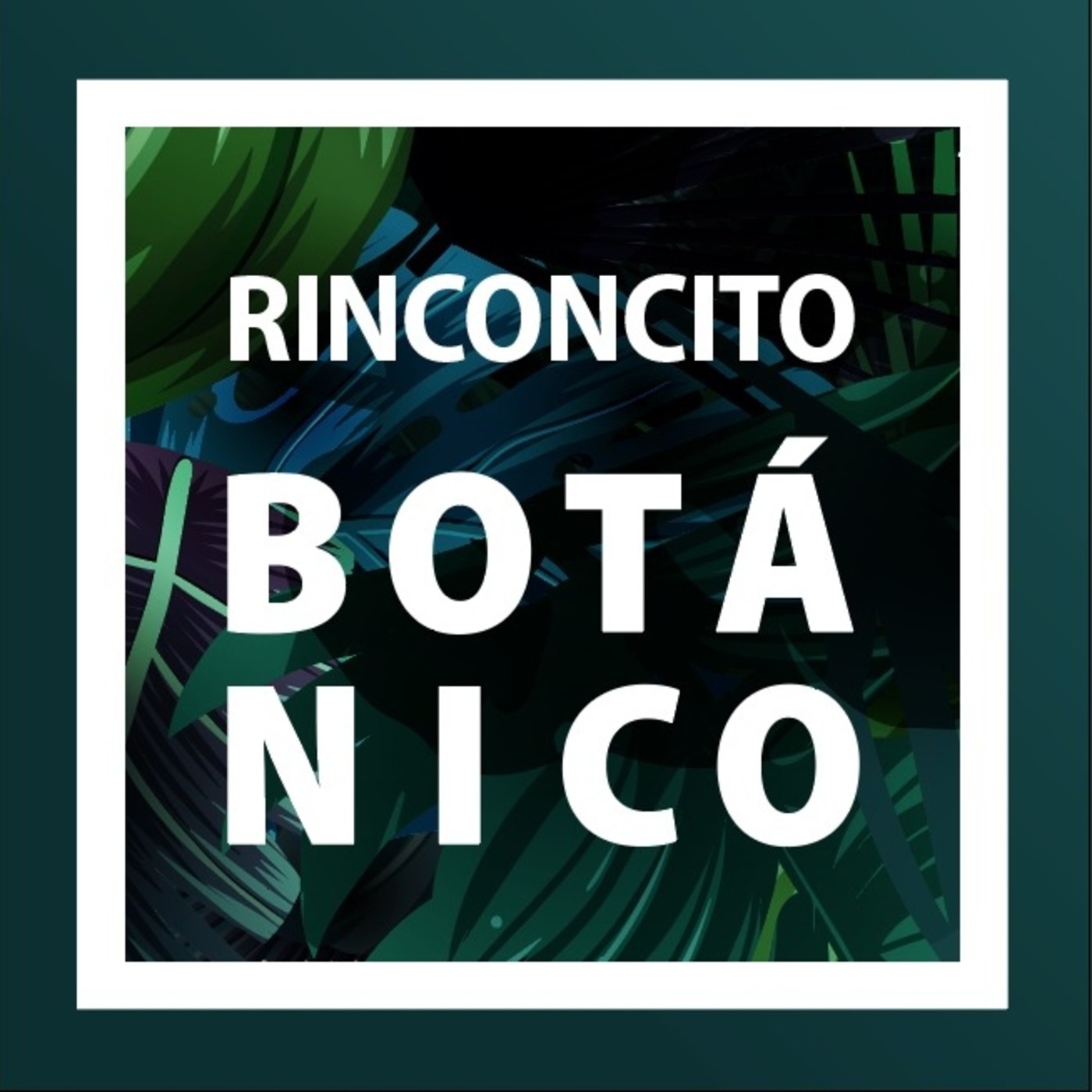 Rinconcito Botánico