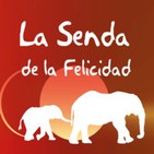 Programa 11: Volver a ser niño