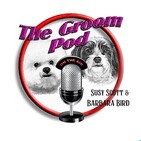 GroomPod 248 Live 13