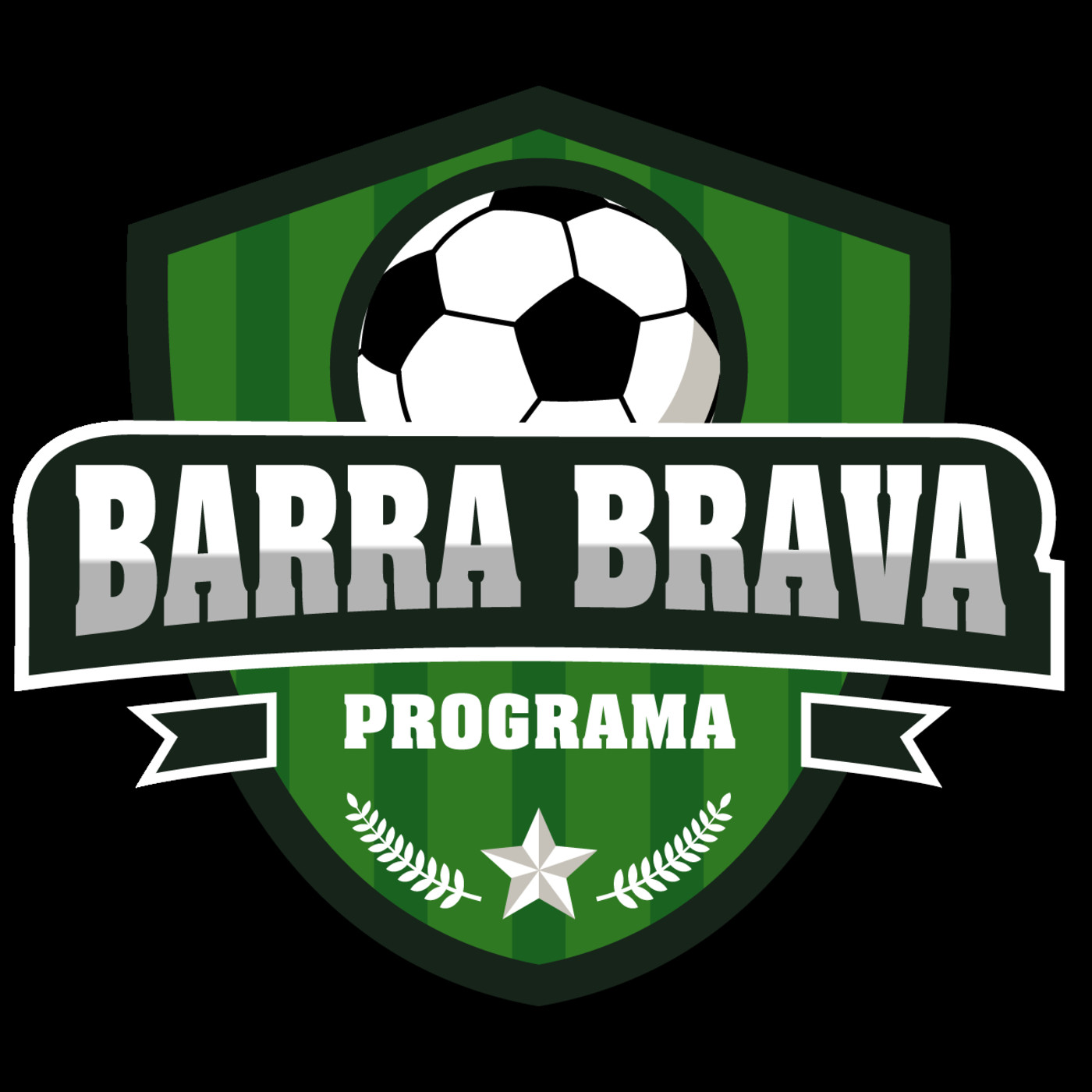 12. Podcast BARRA BRAVA Programa 1 de julio de 2019