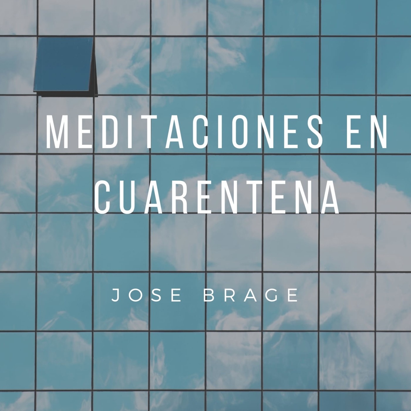 115. Aprended de mi, que soy manso