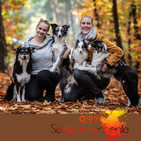 Folge 56 - Locationsuche (Psy)