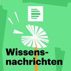 Wellensittiche, Schwarzes Loch, Social-Media-Junkies