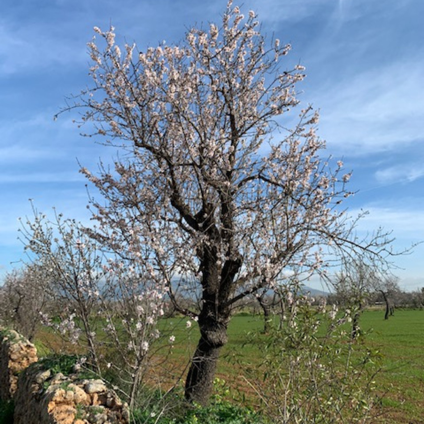 Complicidades sonoras