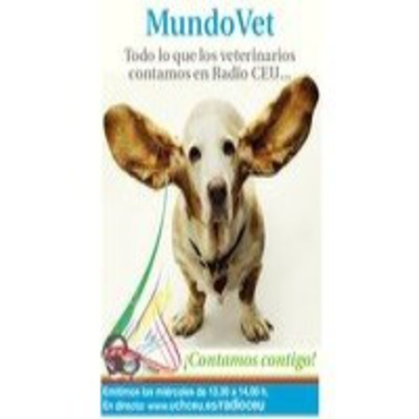 Podcast Mundovet