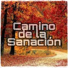 Cómo tratar con personas autoritarias. Podcast 666. Camino de la Sanación. Francisco Saiz