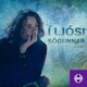 Bókaþjófurinn í Kaupmannahöfn