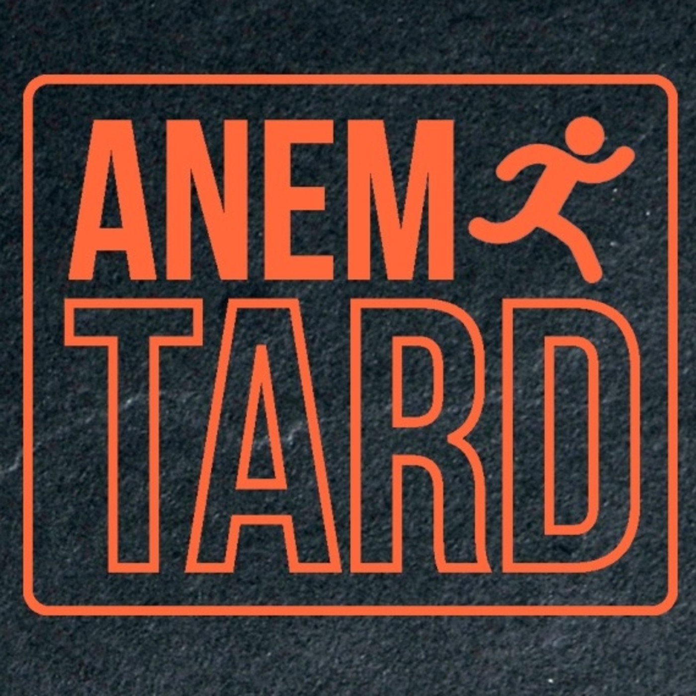Anem Tard