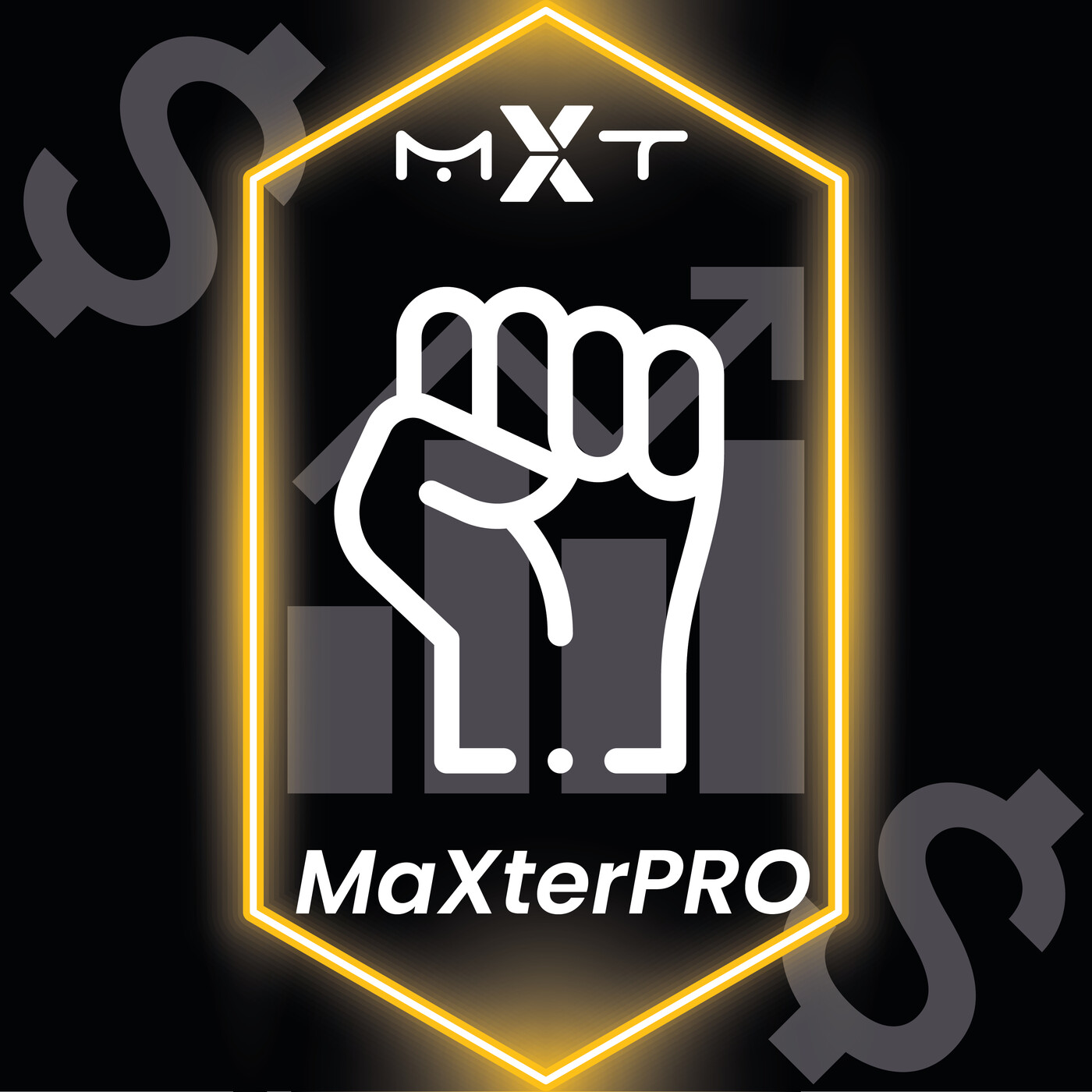 MaXterPro