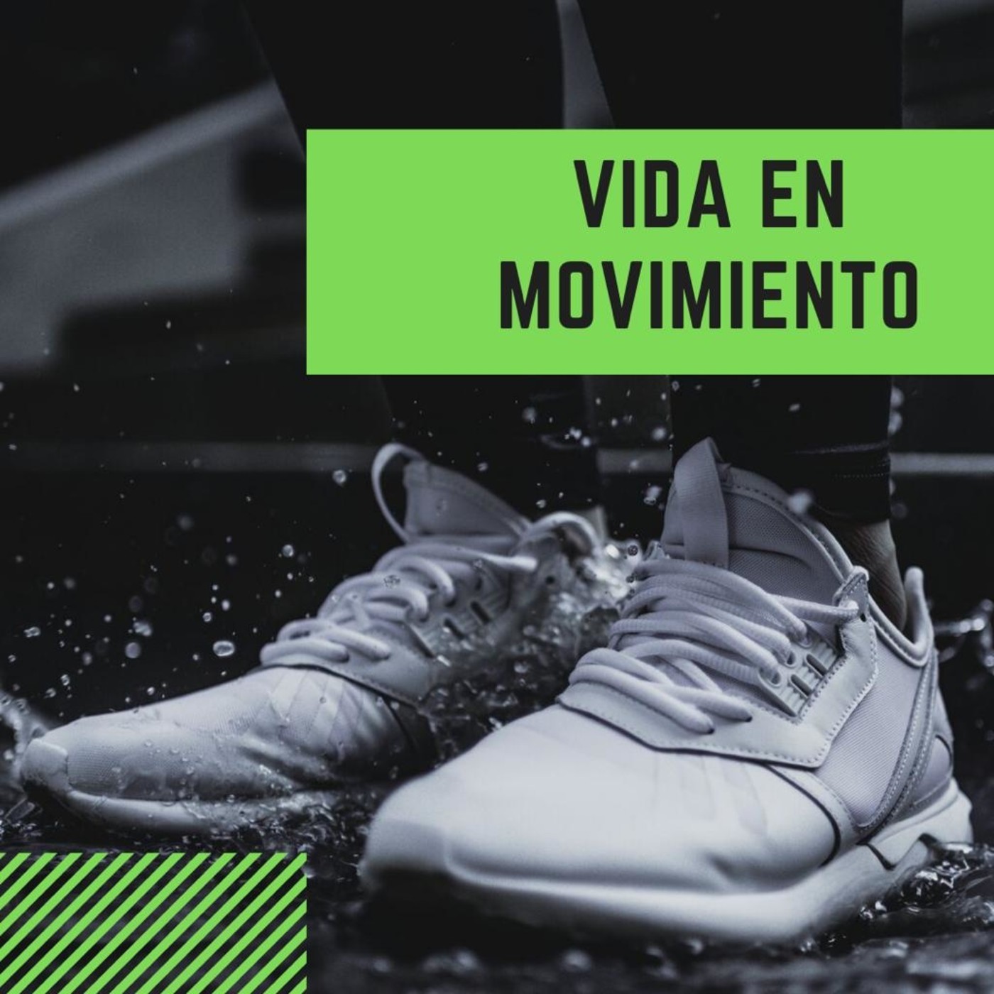 Vida en Movimiento