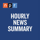 Hourly News Summary