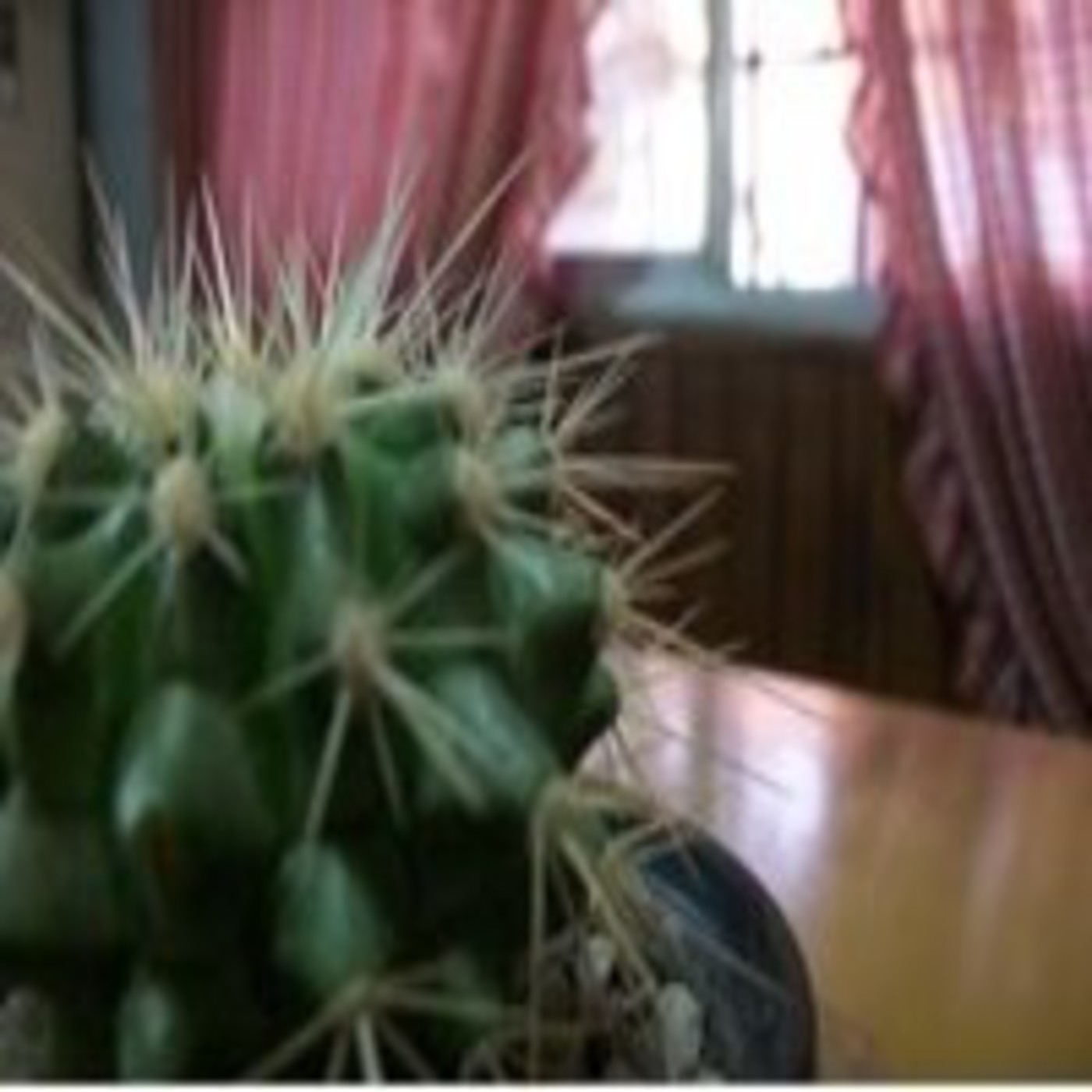 Podcast Reading Notes
