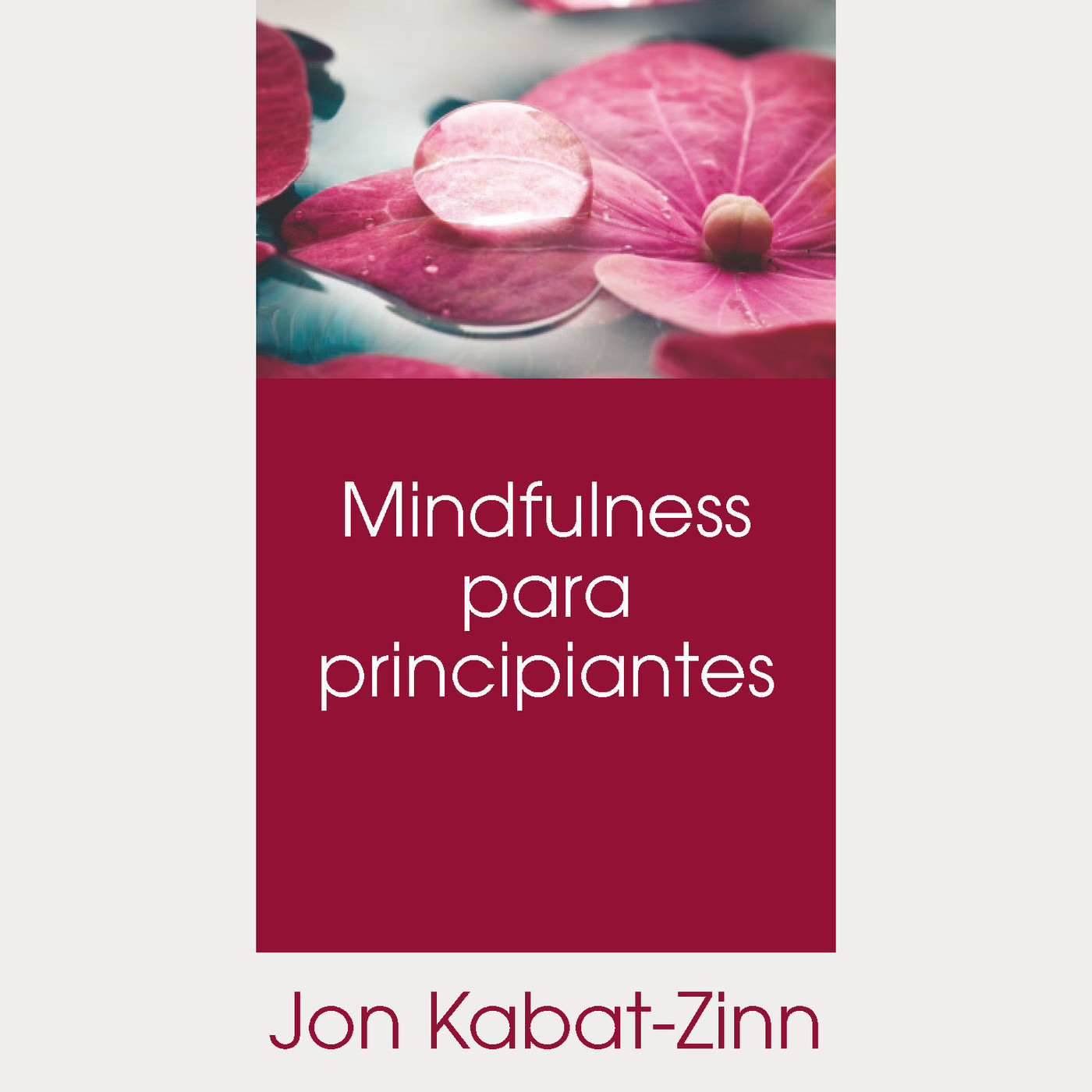 Mindulfness para Principiantes