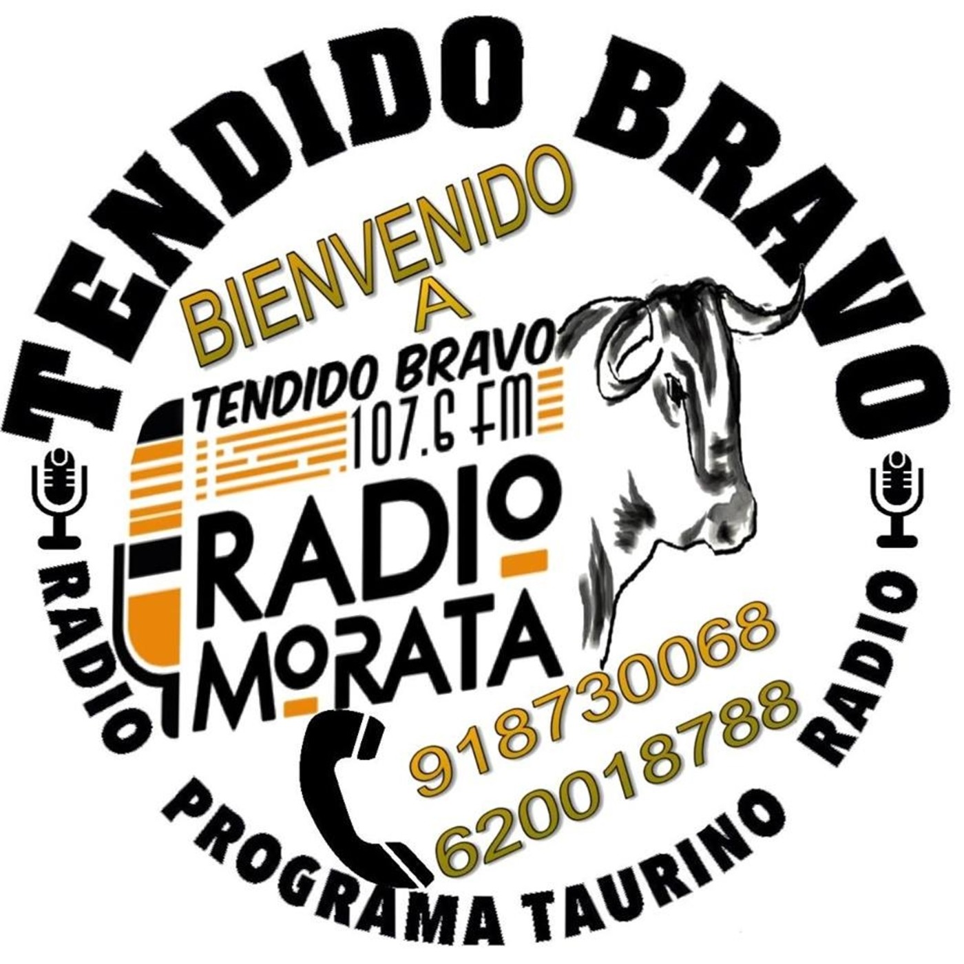 2021.06.17 - Tendido Bravo #165