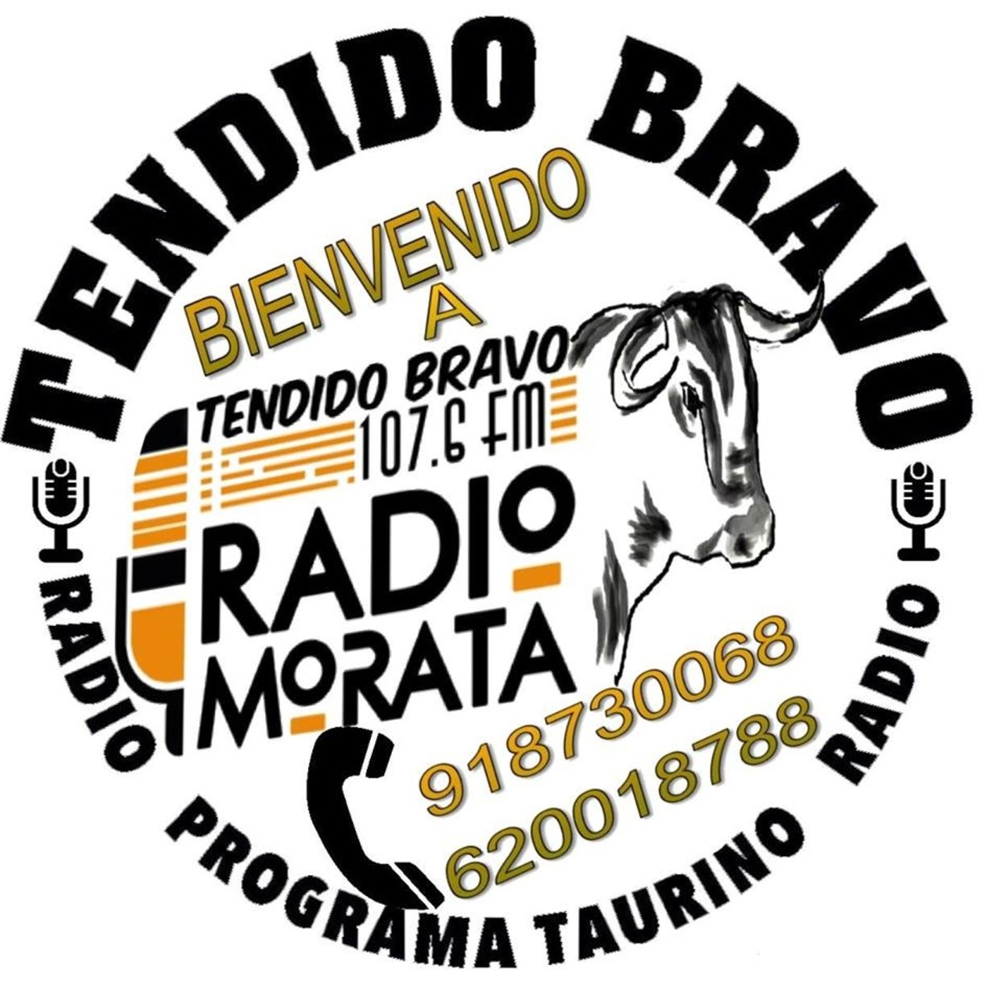 TENDIDO BRAVO