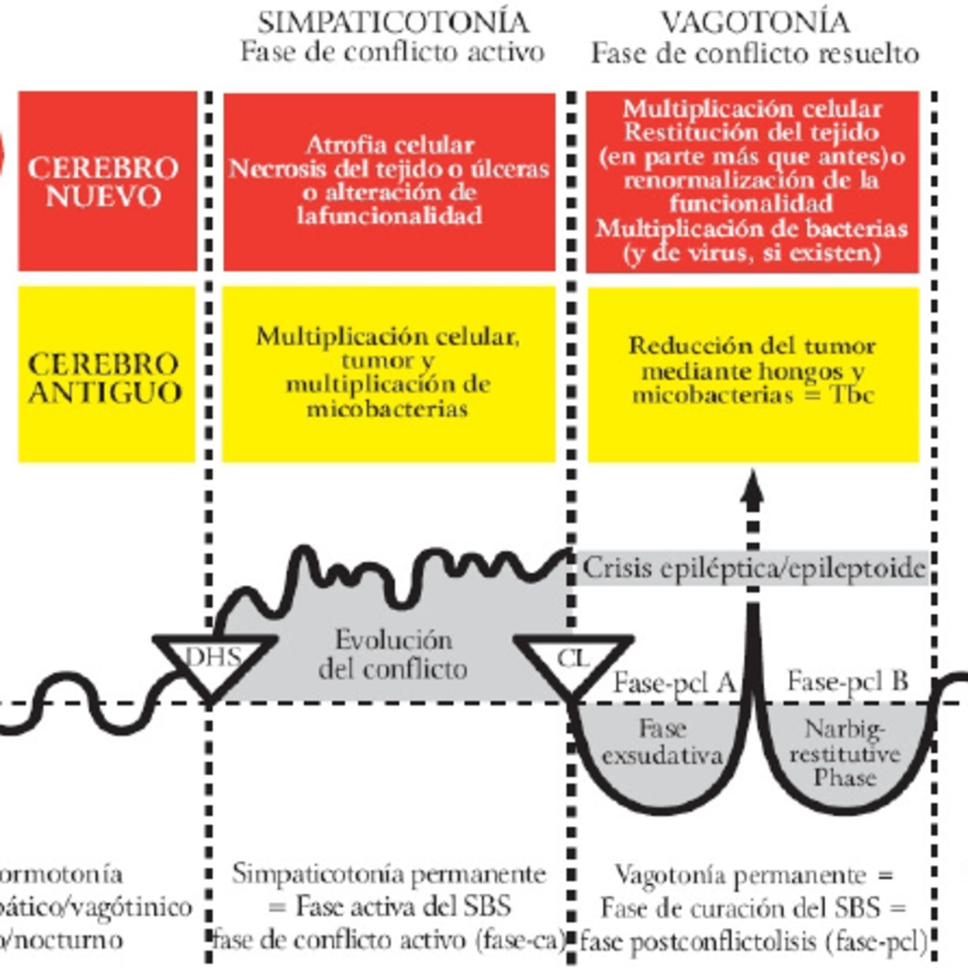 Dr Andres Orsi