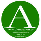 Plenacción