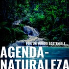 Agenda Naturaleza 82. Ruido sísmico.