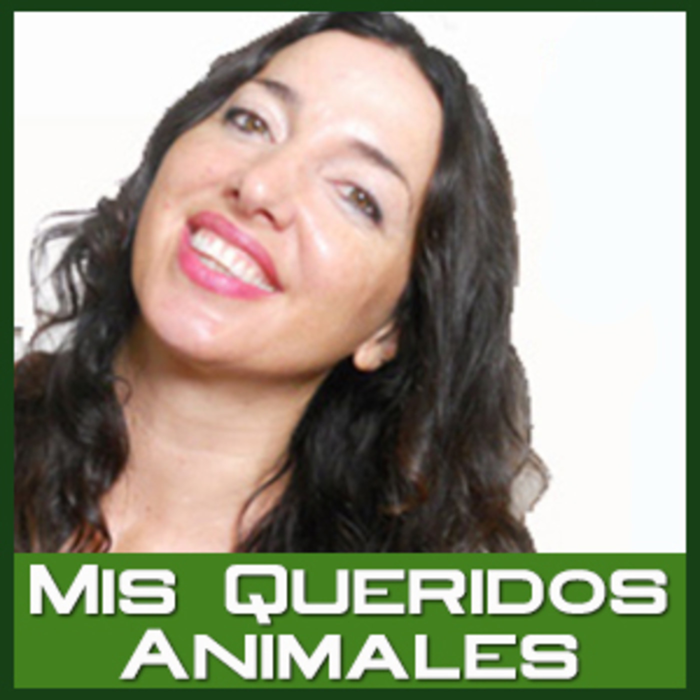 Mis Queridos Animales