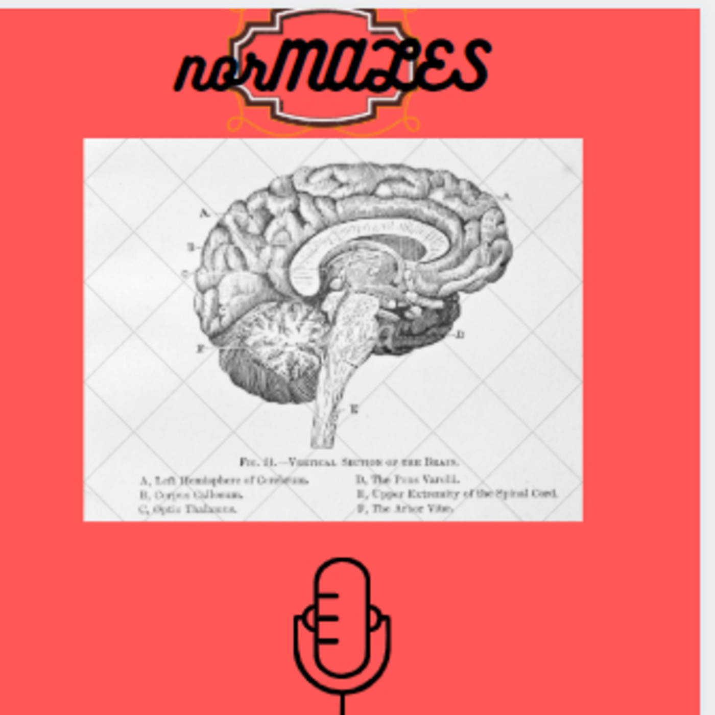 Normales Podcast: un programa para informar