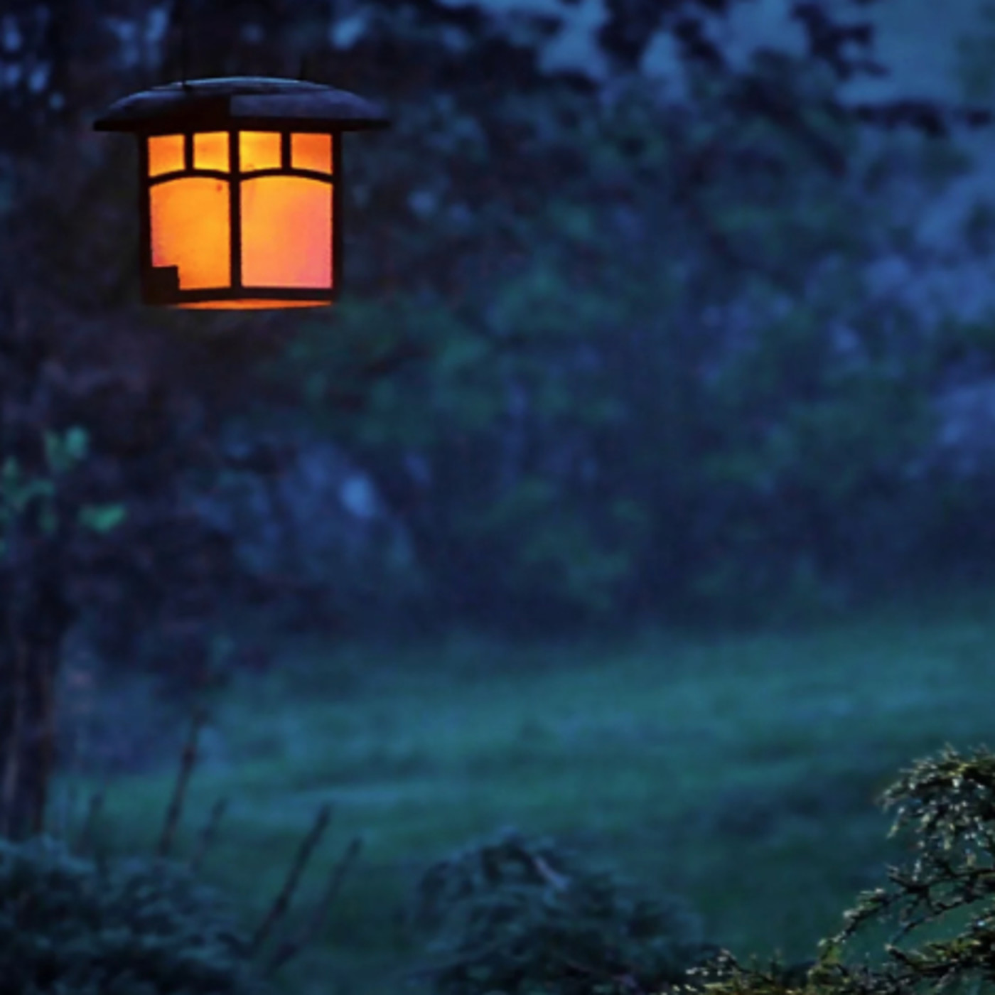 Cuentos para despertar los sueños: emisiones 2019 