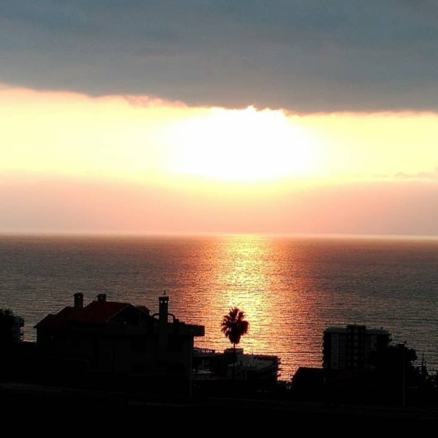 SALUD Y APROVECHA LA VIDA