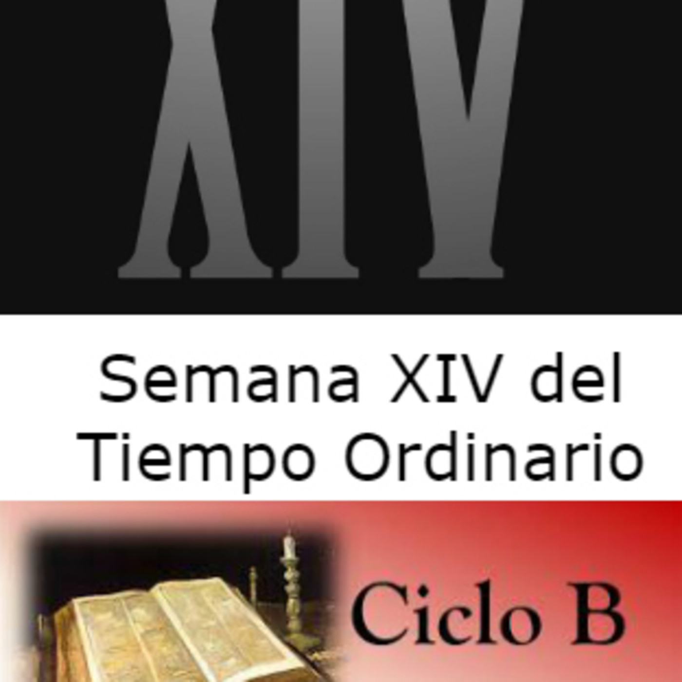 XIV Semana del Tiempo Ordinario