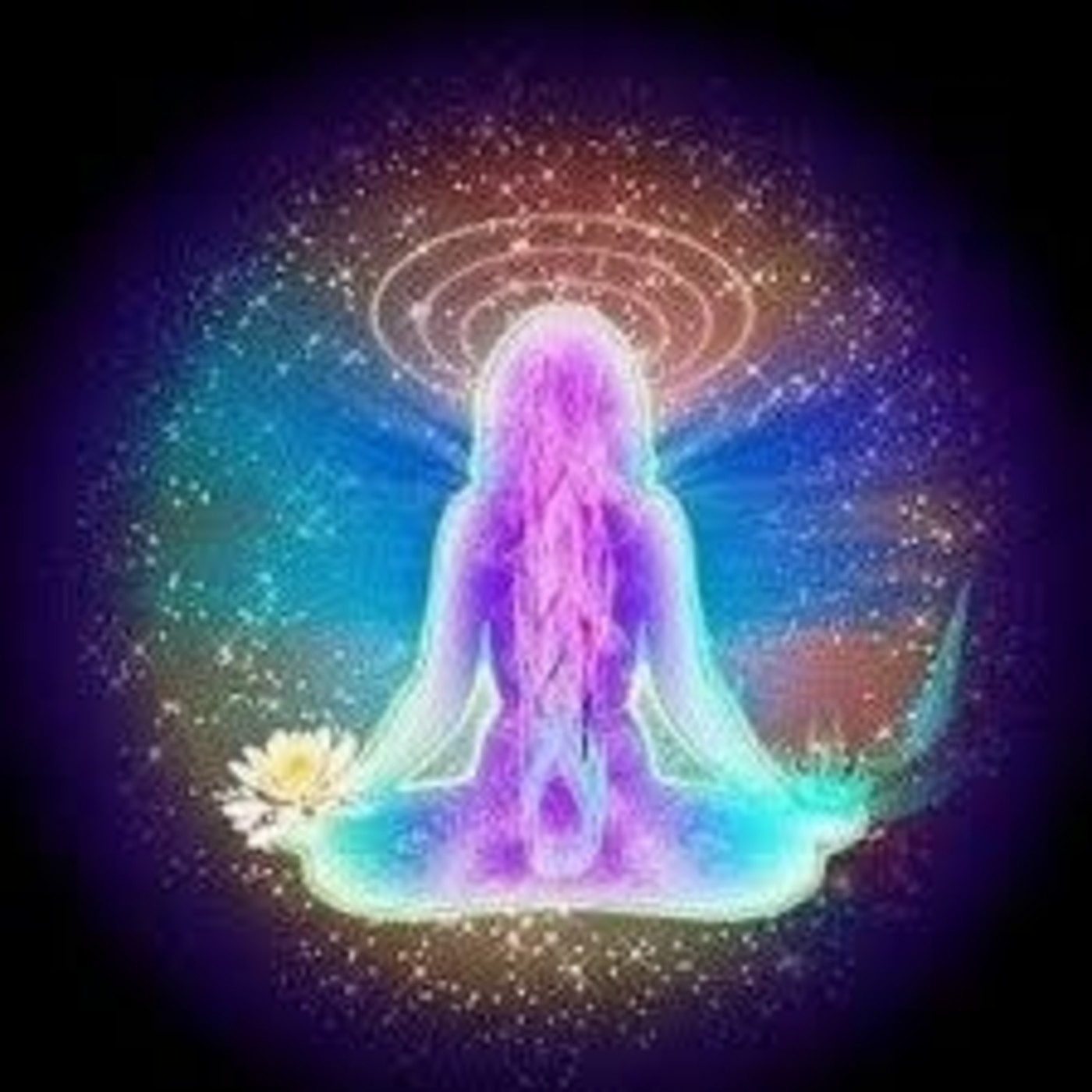 Seres de Luz 02-11-2019