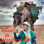 S01E10, Alice in Wanderland